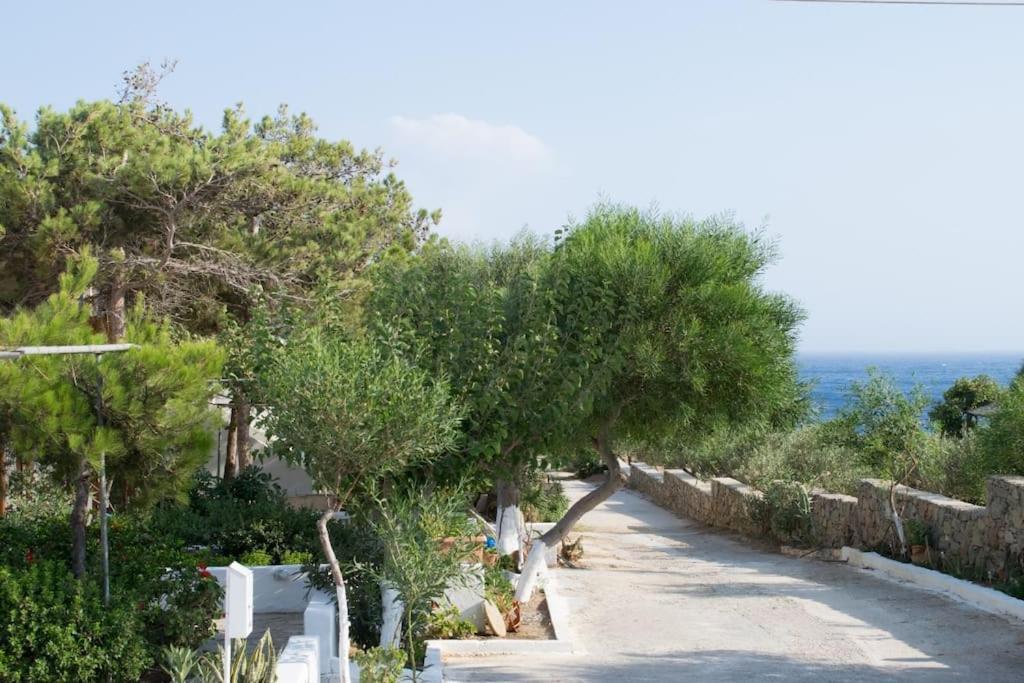 Lazaros & Pagona Houses 2 Ierapetra  Exterior photo